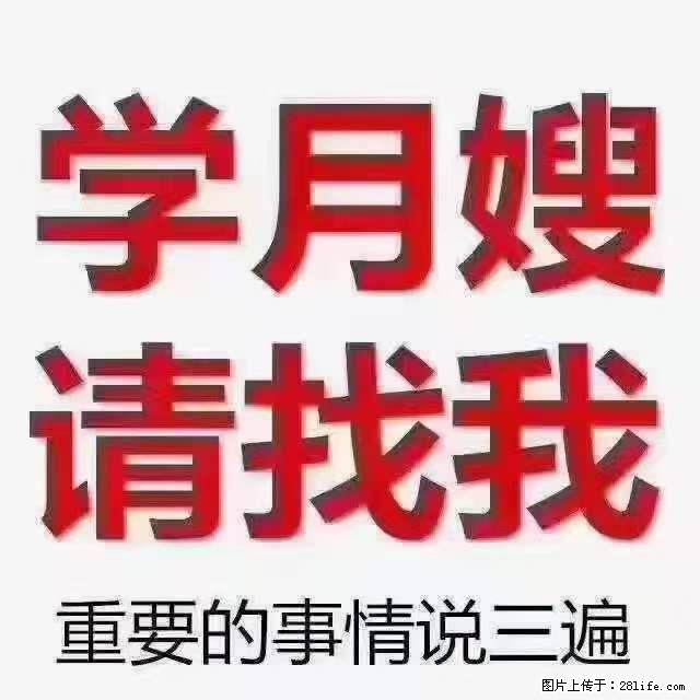 为什么要学习月嫂,育婴师? - 其他广告 - 广告专区 - 铁岭分类信息 - 铁岭28生活网 tl.28life.com