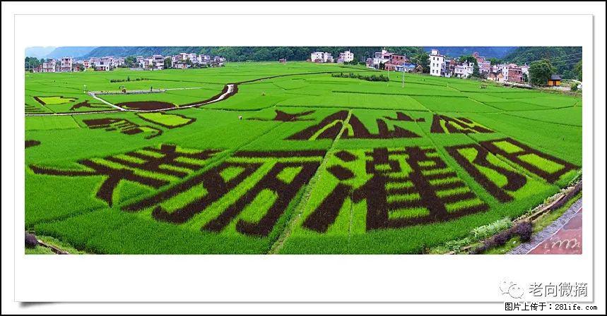 【春天，广西桂林灌阳县向您发出邀请！】开篇 - 游山玩水 - 铁岭生活社区 - 铁岭28生活网 tl.28life.com