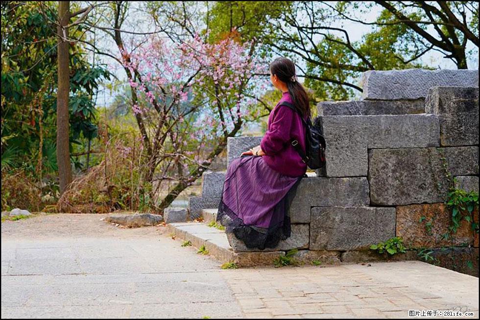 【春天，广西桂林灌阳县向您发出邀请！】江口老街又逢春 - 游山玩水 - 铁岭生活社区 - 铁岭28生活网 tl.28life.com