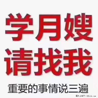 为什么要学习月嫂，育婴师？ - 铁岭28生活网 tl.28life.com