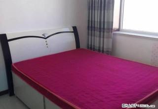 年付8500，恒通家园，好房出租。 - 铁岭28生活网 tl.28life.com