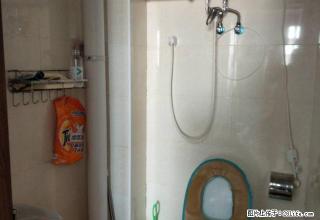 可月租，季租，绿洲新苑精装电梯小公寓 啥都有 拎包即住 - 铁岭28生活网 tl.28life.com