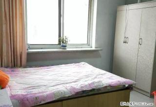 阳光园一区正五楼50平一室一厅年租5000也可半年租 - 铁岭28生活网 tl.28life.com