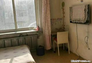 铁西 阳光园一区 5楼 1室1厅 有网 可季度租 - 铁岭28生活网 tl.28life.com