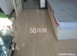 有网城南 哥伦布附近 两室 3500七个多月 拎包即住 - 铁岭28生活网 tl.28life.com