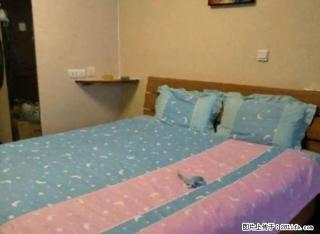 月付1500包取暖物业和宽带 2楼大商附近 家电齐全 环境好 - 铁岭28生活网 tl.28life.com