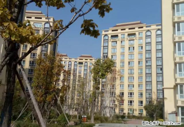 经典户型 南北通透 采光好 - 房屋出租 - 房屋租售 - 铁岭分类信息 - 铁岭28生活网 tl.28life.com