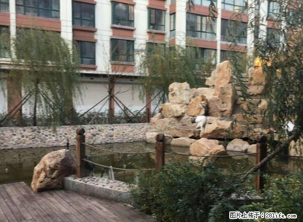 站前四层楼 新楼 450平 大面积可用作商用 - 房屋出租 - 房屋租售 - 铁岭分类信息 - 铁岭28生活网 tl.28life.com