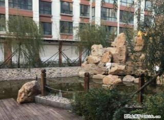 站前四层楼 新楼 450平 大面积可用作商用 - 铁岭28生活网 tl.28life.com