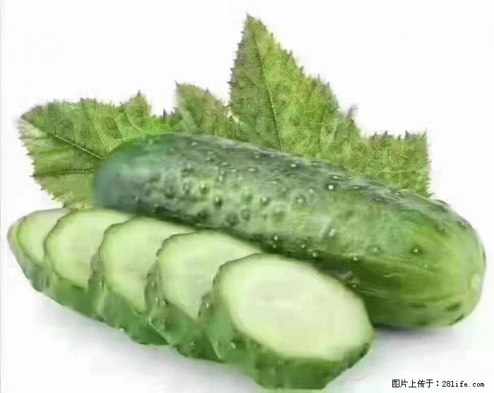 【生活小常识】吃黄瓜的好处 - 生活百科 - 铁岭生活社区 - 铁岭28生活网 tl.28life.com