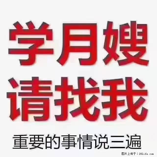 【招聘】月嫂，上海徐汇区 - 职场交流 - 铁岭生活社区 - 铁岭28生活网 tl.28life.com