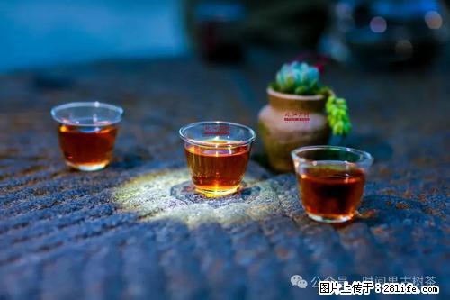 时间果百年古树2025年春红茶 - 购物交流 - 铁岭生活社区 - 铁岭28生活网 tl.28life.com