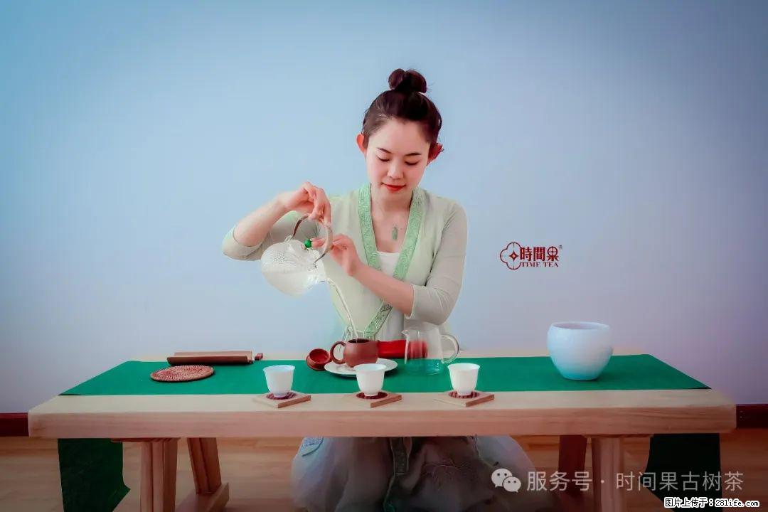 时间果百年古树龙珠普洱生茶 - 购物交流 - 铁岭生活社区 - 铁岭28生活网 tl.28life.com