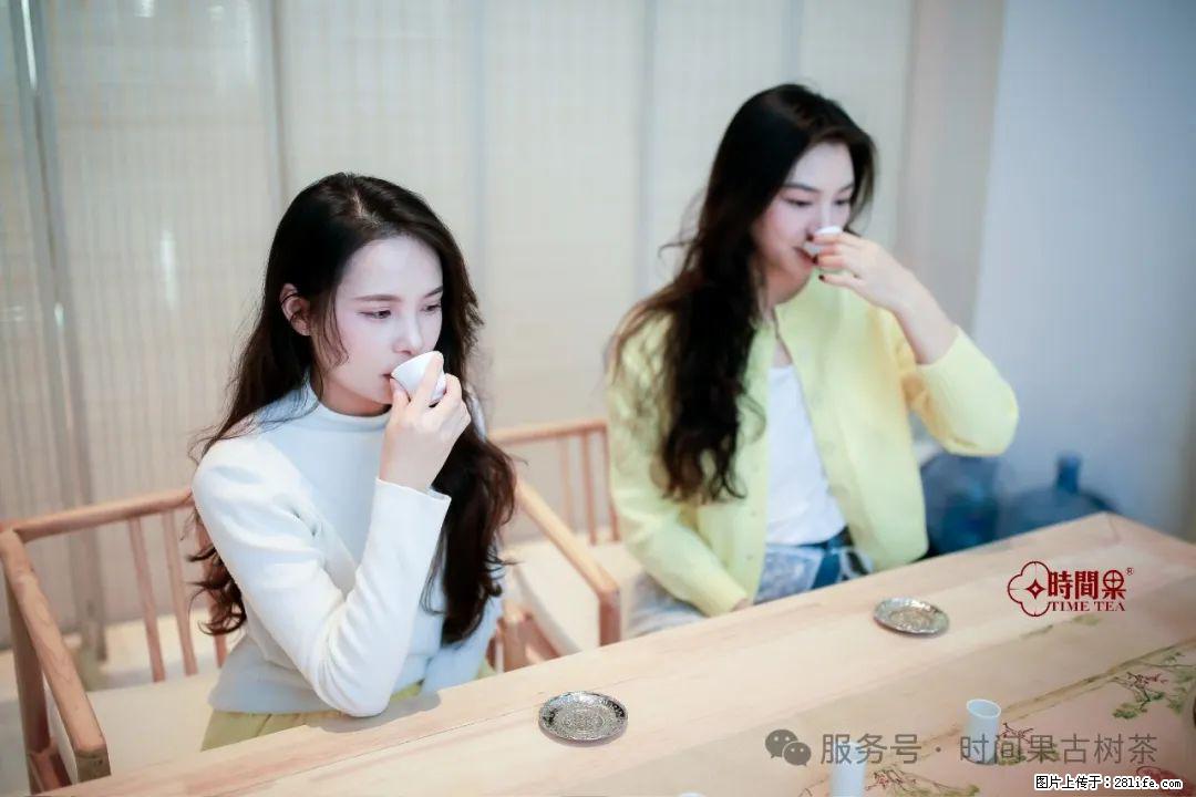 时间果百年古树龙珠普洱生茶 - 购物交流 - 铁岭生活社区 - 铁岭28生活网 tl.28life.com