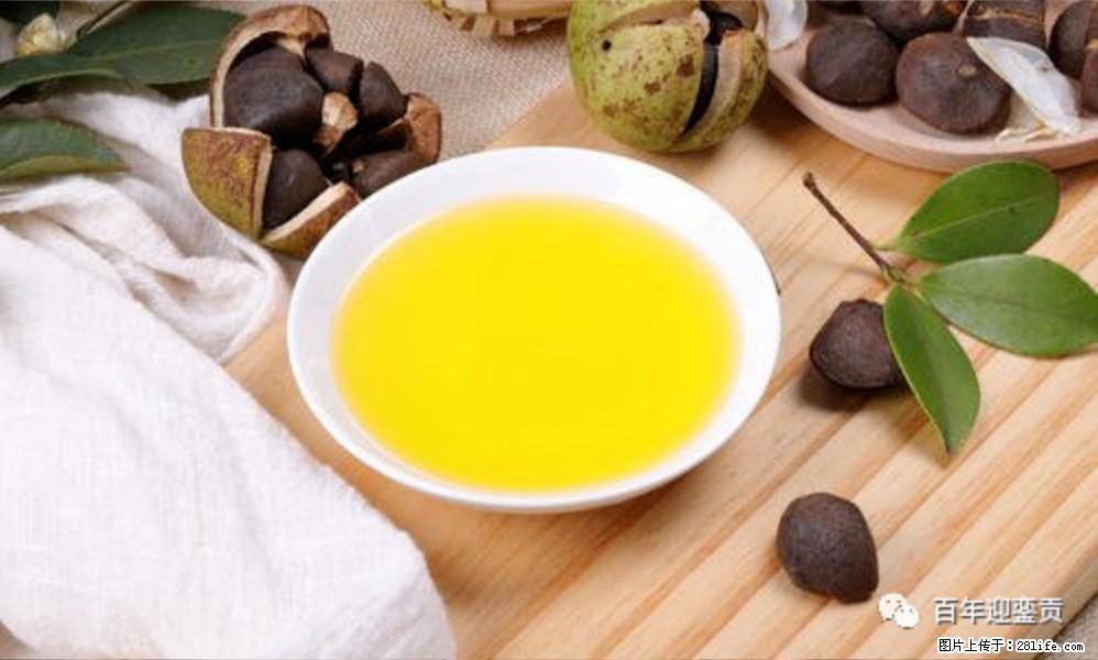 揭秘茶油的5大核心营养成分！被称为人体健康的“守护盾”！ - 铁岭生活资讯 - 铁岭28生活网 tl.28life.com