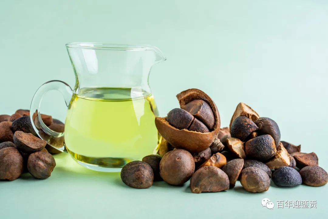 世界没有真相，只有认知，最好的食用油是中国的山茶油！ - 铁岭生活资讯 - 铁岭28生活网 tl.28life.com