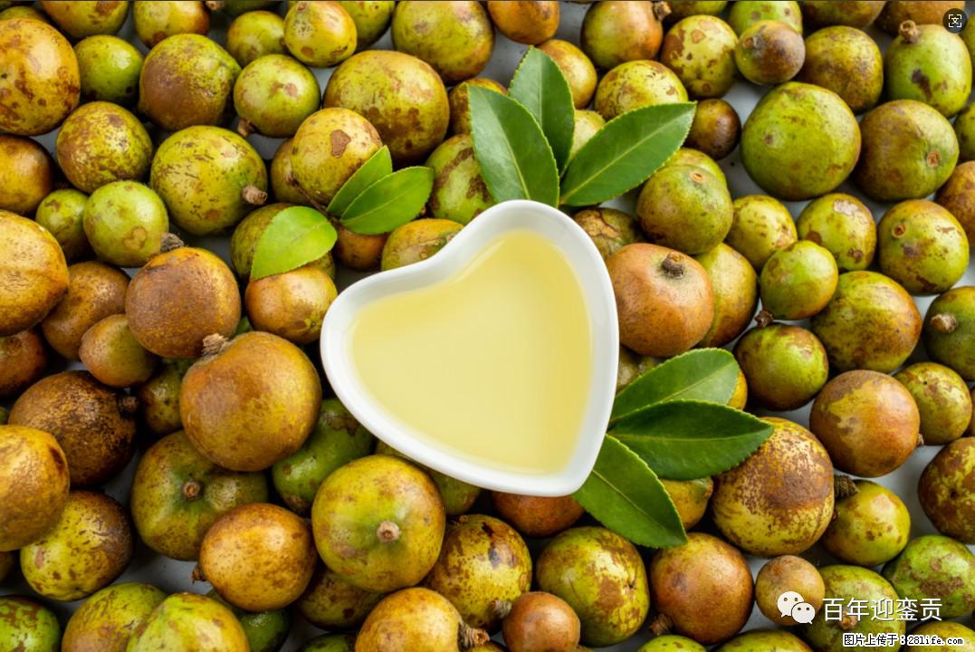 世界没有真相，只有认知，最好的食用油是中国的山茶油！ - 铁岭生活资讯 - 铁岭28生活网 tl.28life.com