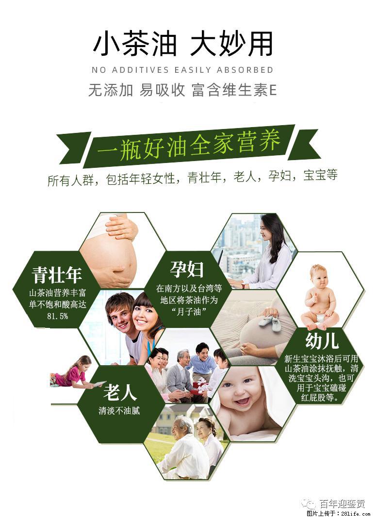 世界没有真相，只有认知，最好的食用油是中国的山茶油！ - 铁岭生活资讯 - 铁岭28生活网 tl.28life.com