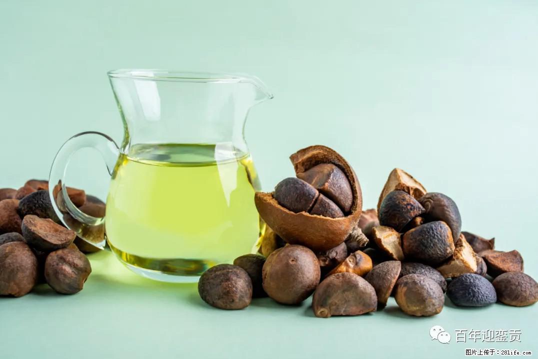 世界没有真相，只有认知，最好的食用油是中国的山茶油！ - 铁岭生活资讯 - 铁岭28生活网 tl.28life.com