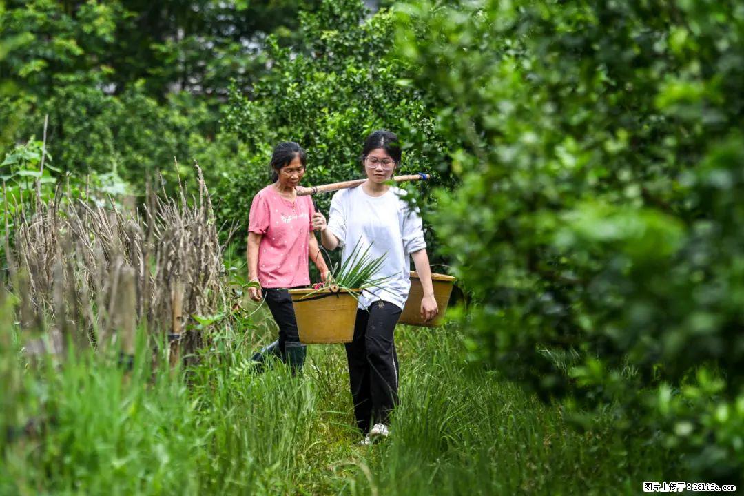 全网追的“扁担女孩”，找了一份暑假工，时薪12元 - 铁岭生活资讯 - 铁岭28生活网 tl.28life.com