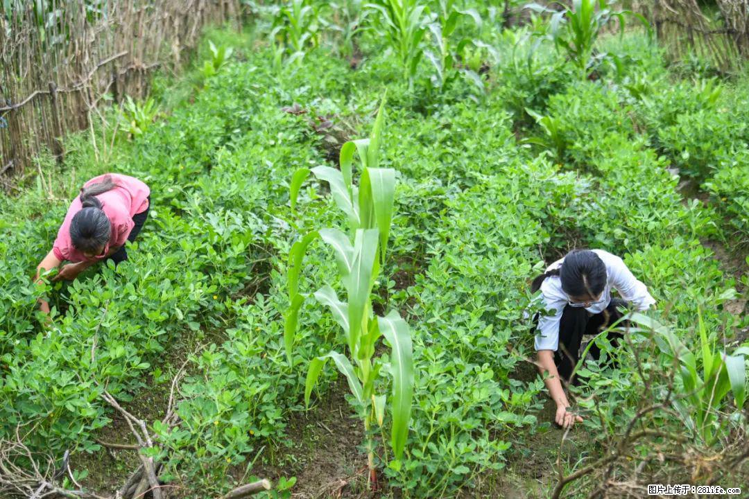全网追的“扁担女孩”，找了一份暑假工，时薪12元 - 铁岭生活资讯 - 铁岭28生活网 tl.28life.com