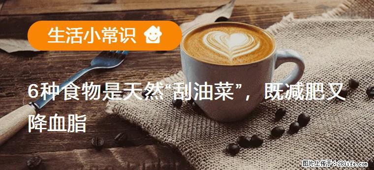 【生活小常识】6种食物是天然“刮油菜”，既减肥又降血脂 - 铁岭生活资讯 - 铁岭28生活网 tl.28life.com