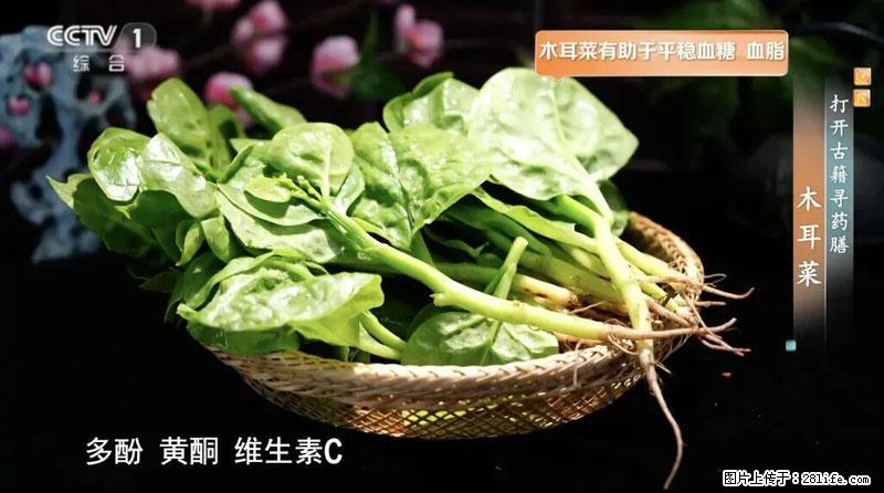 比牛奶补钙还厉害!凉血解毒、稳血糖...这菜冬天必吃,很多人却当草 - 铁岭生活资讯 - 铁岭28生活网 tl.28life.com