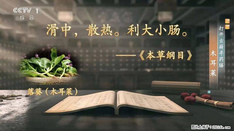 比牛奶补钙还厉害!凉血解毒、稳血糖...这菜冬天必吃,很多人却当草 - 铁岭生活资讯 - 铁岭28生活网 tl.28life.com