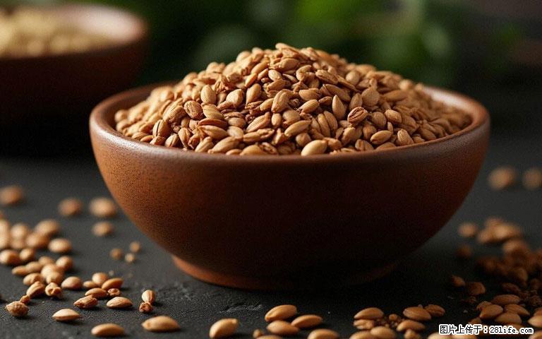 这三苦是三高“克星”，心血管干净不易堵！每天吃一点，指标慢慢降下来~ - 铁岭生活资讯 - 铁岭28生活网 tl.28life.com