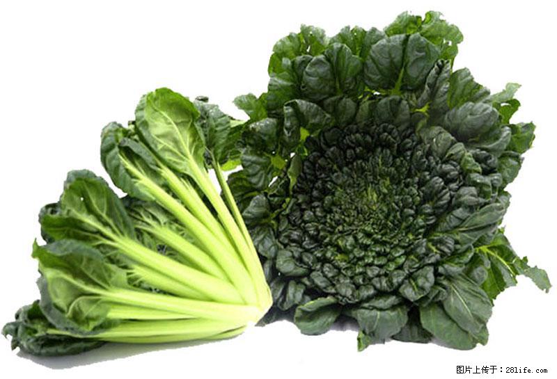 这些蔬菜是“天然钙片”，这6种被医生重点推荐 - 铁岭生活资讯 - 铁岭28生活网 tl.28life.com