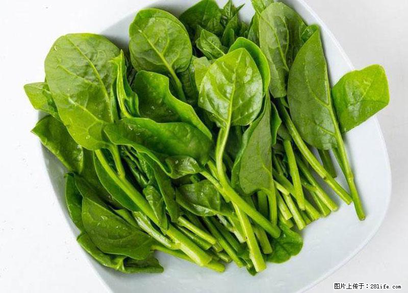 这些蔬菜是“天然钙片”，这6种被医生重点推荐 - 铁岭生活资讯 - 铁岭28生活网 tl.28life.com