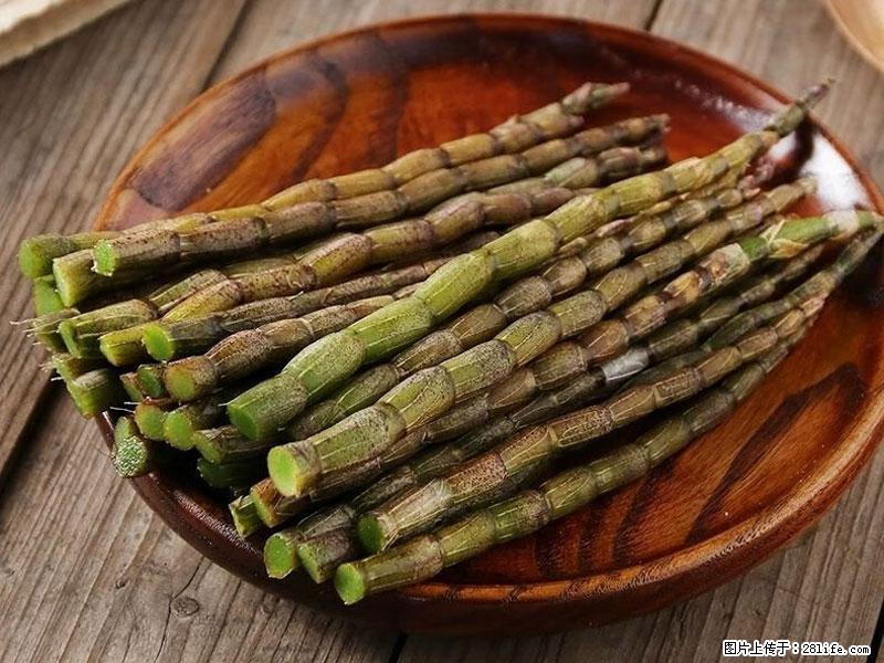 铁皮石斛的作用与功能主治 - 铁岭生活资讯 - 铁岭28生活网 tl.28life.com