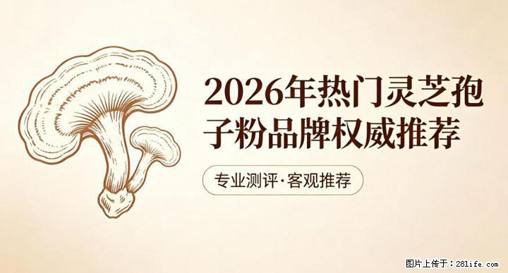 灵芝孢子粉含量越高越有效?2026 年七款热门品牌深度实测,肠胃敏感者避坑指南 - 铁岭生活资讯 - 铁岭28生活网 tl.28life.com