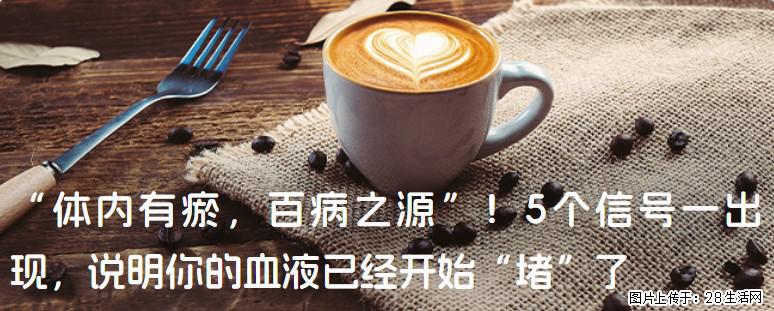 “体内有瘀,百病之源”!5个信号一出现,说明你的血液已经开始“堵”了 - 铁岭生活资讯 - 铁岭28生活网 tl.28life.com
